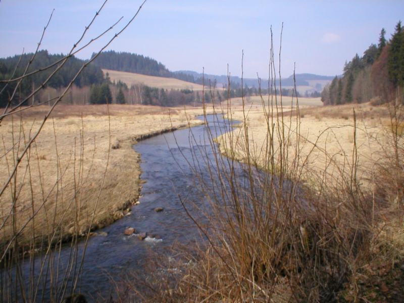 Svratka u Dalečína