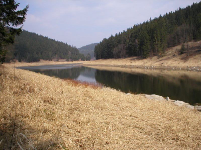 Břeh Vírské přehrady