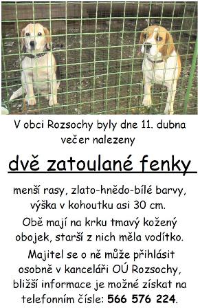 zatoulane-fenky-rozsochy1
