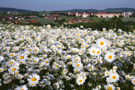 tema-bystricko-myma-ocima-umelecke-foto-autor-petr-starha1
