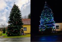 Výsledky soutěže ,,Nejkrásnější vánoční strom Bystřicka 2022"