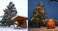 Výsledky soutěže ,,Nejkrásnější vánoční strom Bystřicka 2023"